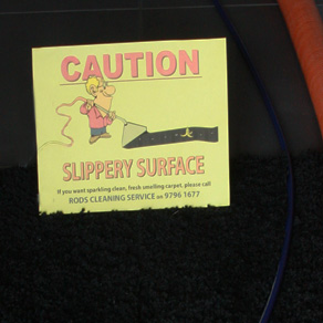 Carpet cleaning in progress